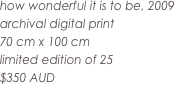 how wonderful it is to be, 2009
archival digital print
70 cm x 100 cm
limited edition of 25
$350 AUD
