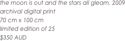the moon is out and the stars all gleam, 2009
archival digital print
70 cm x 100 cm
limited edition of 25
$350 AUD