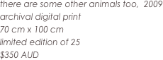 there are some other animals too,  2009
archival digital print
70 cm x 100 cm
limited edition of 25
$350 AUD
